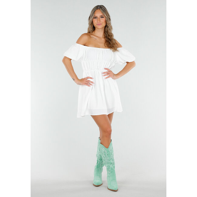 Mintgrüne Cowboystiefel in Wildlederoptik