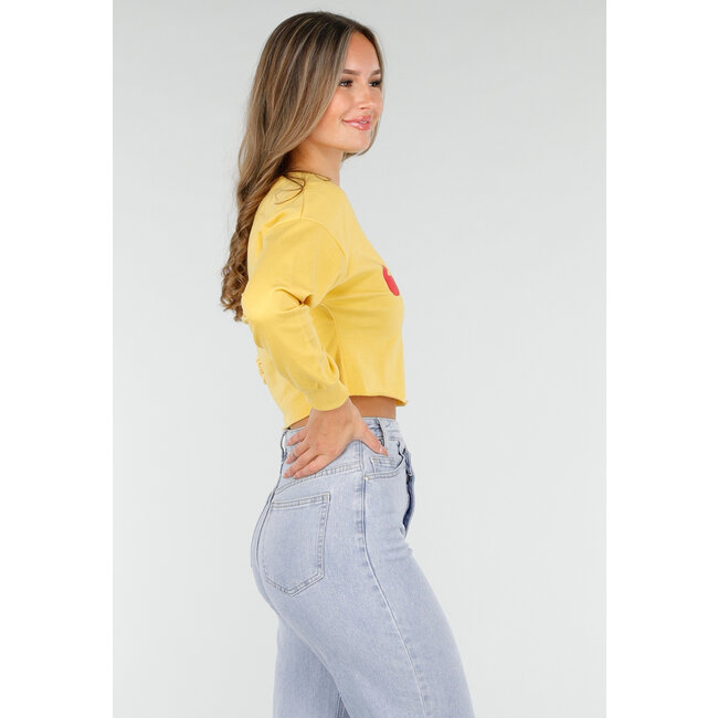 Gelbes Crop-Top mit langen Ärmeln