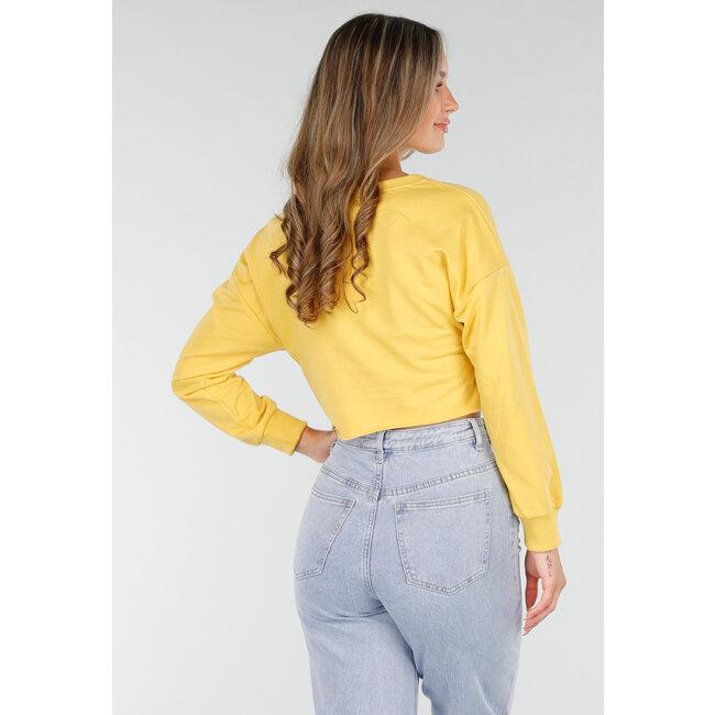 Gelbes Crop-Top mit langen Ärmeln