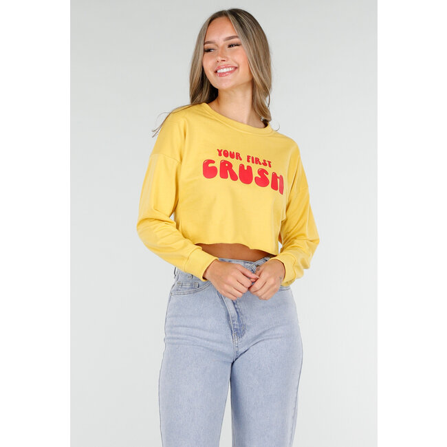 Gelbes Crop-Top mit langen Ärmeln