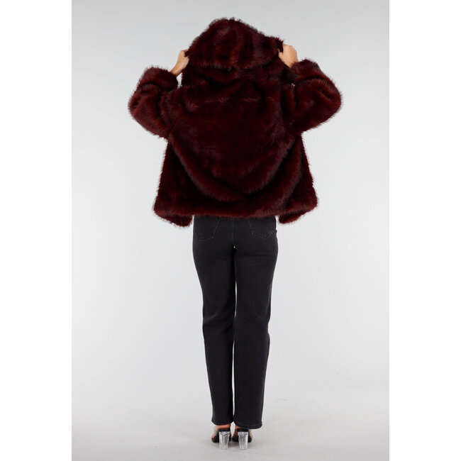 Bordeaux Bontjas mit Kapuze