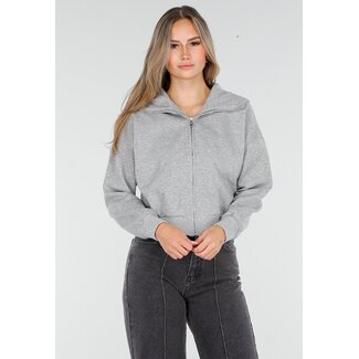 Graue Jacke mit Kapuze und Reißverschluss