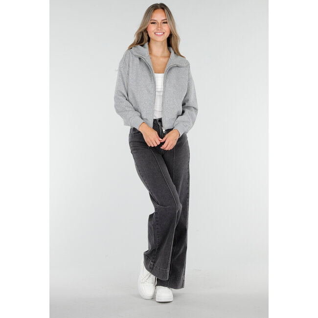 Langärmelige Sweatjacke in Grau