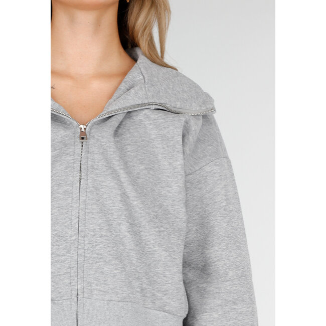 Langärmelige Sweatjacke in Grau