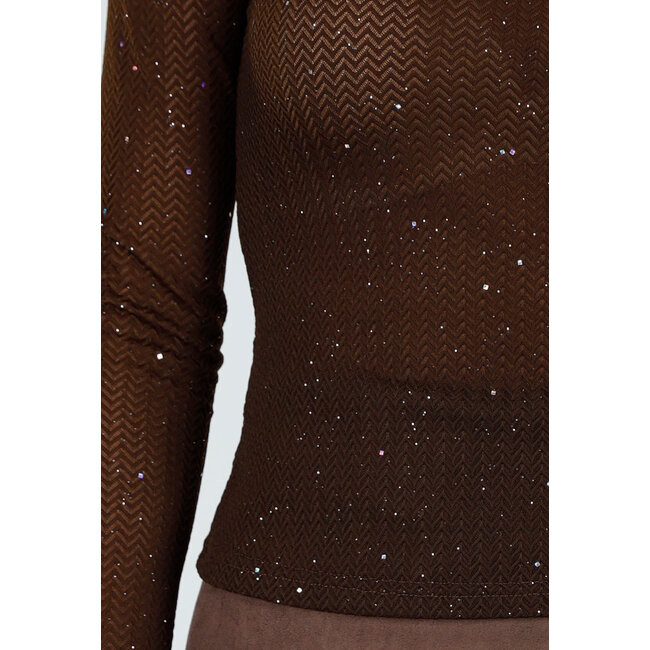 Braunes, halbtransparentes Oberteil mit langen Ärmeln und Glitzerdetails