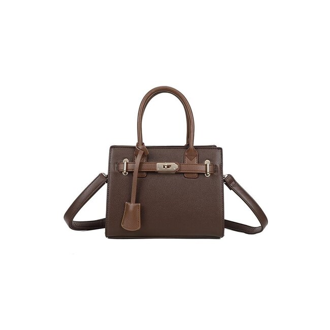 Dark Brown Handbag with Gold-Tone Clasp and Handles