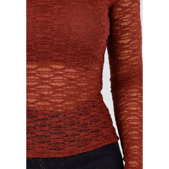 Rostbrauner transparenter Spitzenoberteil mit langen Ärmeln und hohem Kragen