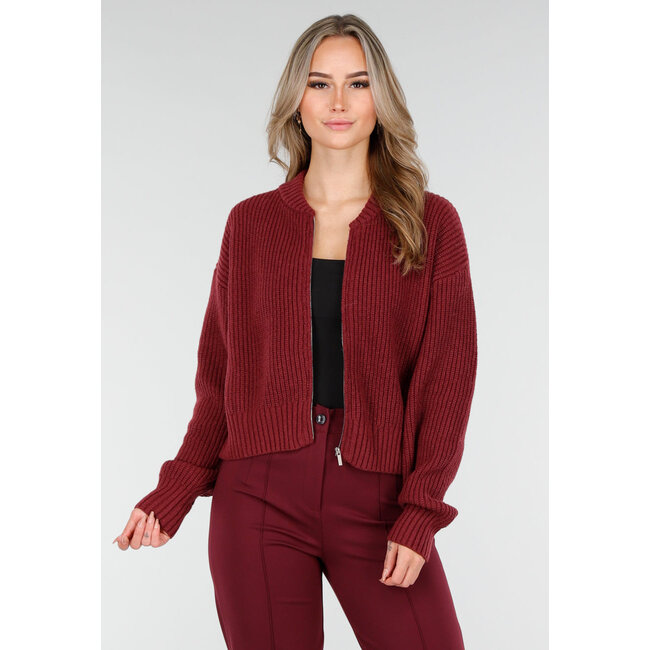 Bordeauxrote Strickjacke mit Reißverschluss