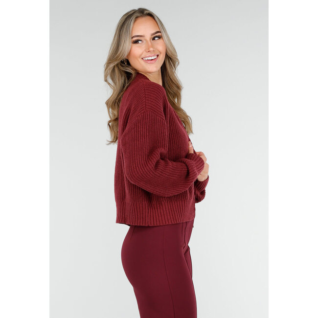 Bordeauxrote Strickjacke mit Reißverschluss