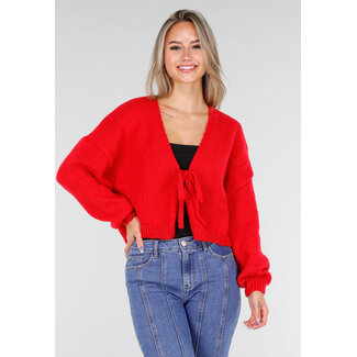 Rote Strickjacke mit Schleife