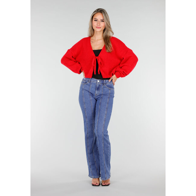 Blaue Stretchjeans mit geradem Bein und vertikalen Nähten