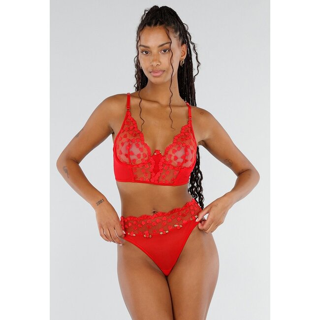 Rotes Dessous-Set mit Herzchen-Mesh und Slip mit hoher Taille