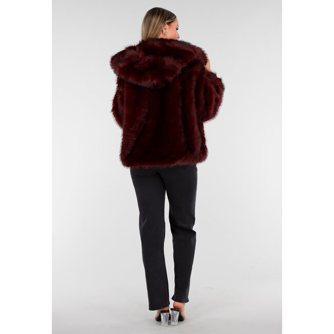 Bordeaux Bontjas mit Kapuze