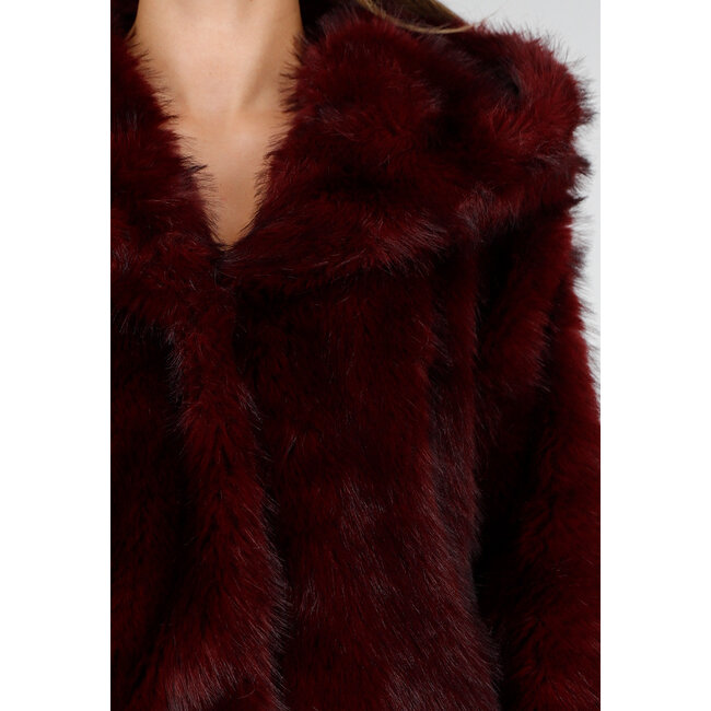 Bordeaux Bontjas mit Kapuze