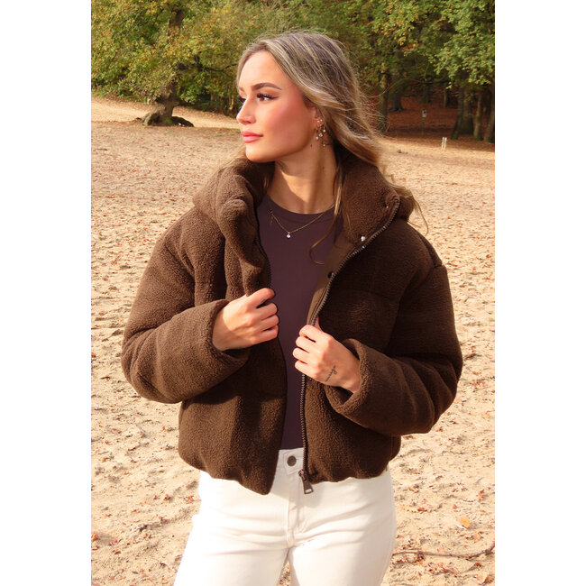 Braune Teddy-Daunenjacke mit hohem Kragen und Kapuze