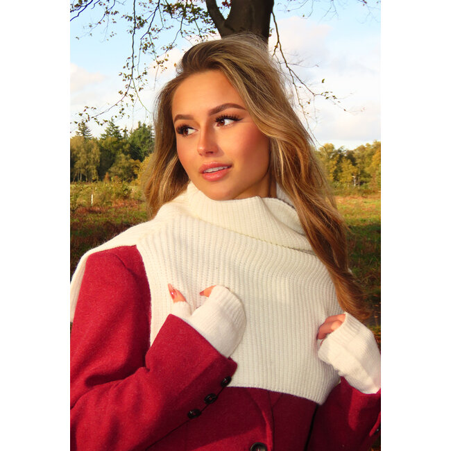 Strick-Schal mit hohem Kragen