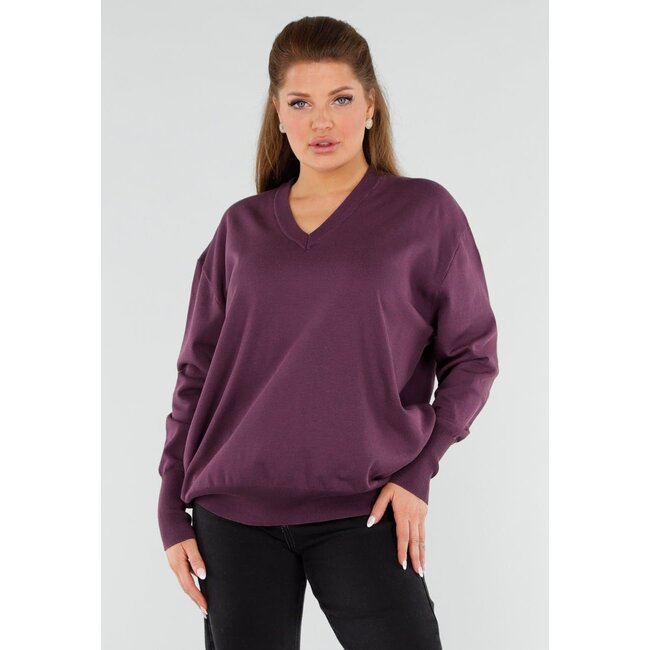 Aubergine Sweater mit V-Ausschnitt