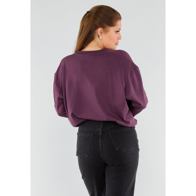 Dunkelvioletter Pullover mit V-Ausschnitt und langen Ärmeln