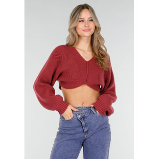 Roter, kurz geschnittener Pullover