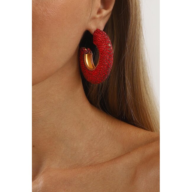 Statement Ohrringe mit Strass