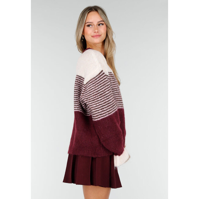 Bordeauxfarbenes gestreiftes Jäckchen mit Knopfverschluss und kontrastierenden Bündchen