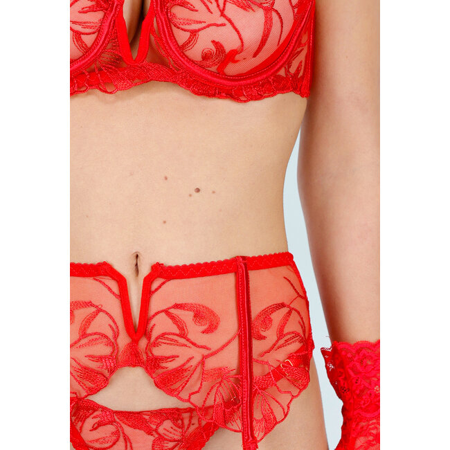 Rotes Spitzen-Dessous-Set mit Strumpfhaltern