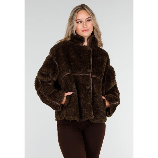 Dark Brown Teddy Jacket with Button Closure