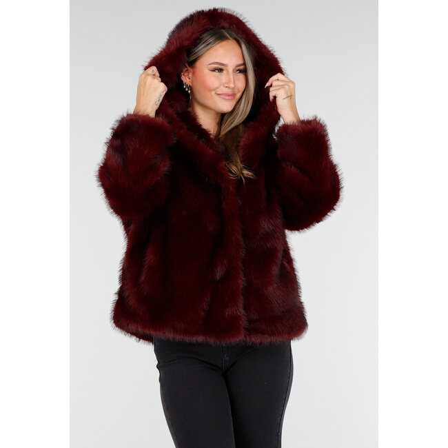 Bordeaux Bontjas mit Kapuze