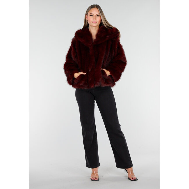 Bordeaux Bontjas mit Kapuze