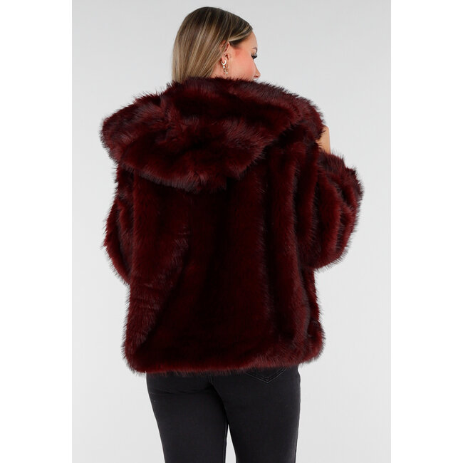 Bordeaux Bontjas mit Kapuze