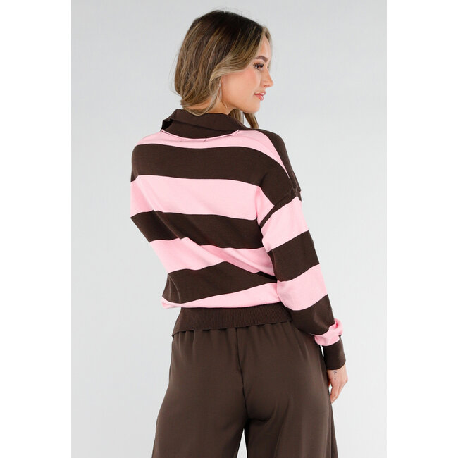 Pink and Brown Striped Polo Sweater