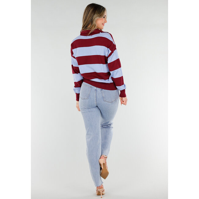 Bordeaux- und hellblau gestreifter Polo-Pullover mit V-Ausschnitt