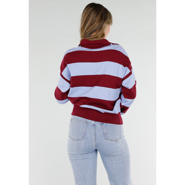 Bordeaux- und hellblau gestreifter Polo-Pullover mit V-Ausschnitt