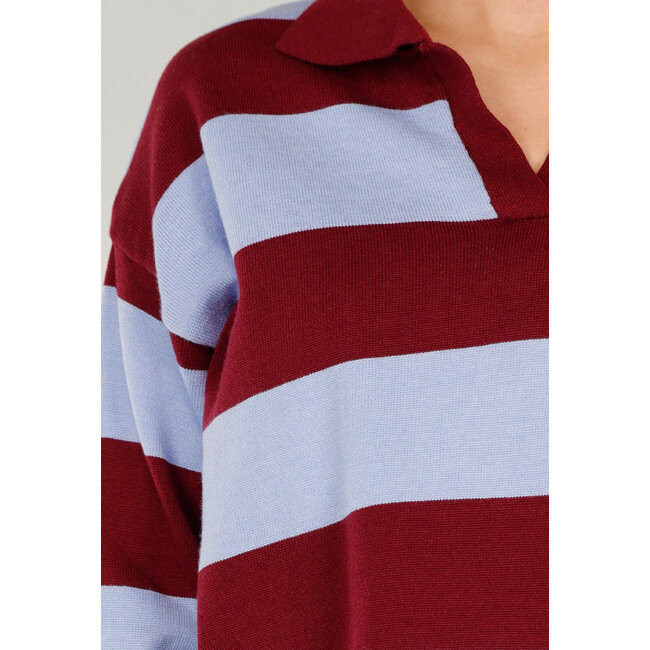 Bordeaux- und hellblau gestreifter Polo-Pullover mit V-Ausschnitt