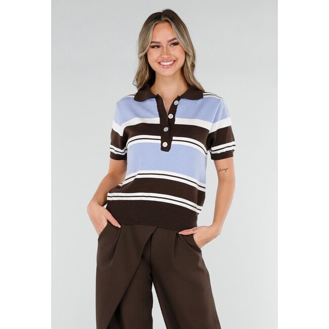 Gestreiftes Polo-Oberteil in Blau und Braun mit Stretchanteil