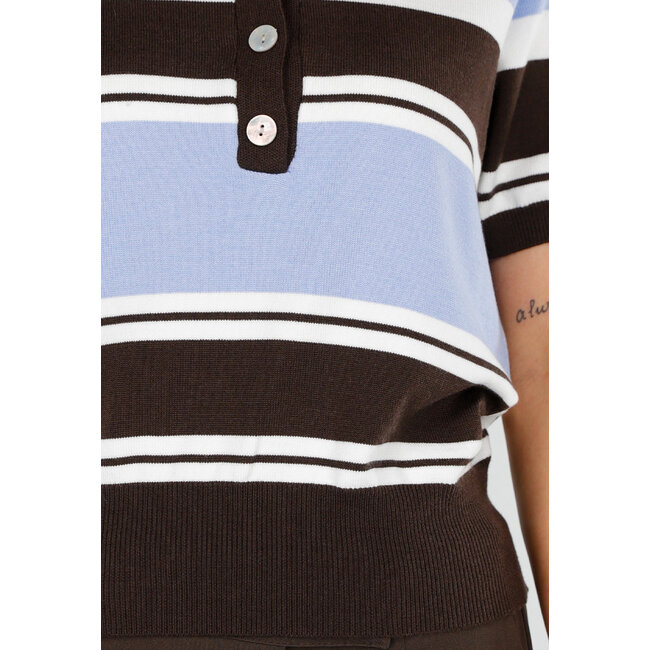 Gestreiftes Polo-Oberteil in Blau und Braun mit Stretchanteil