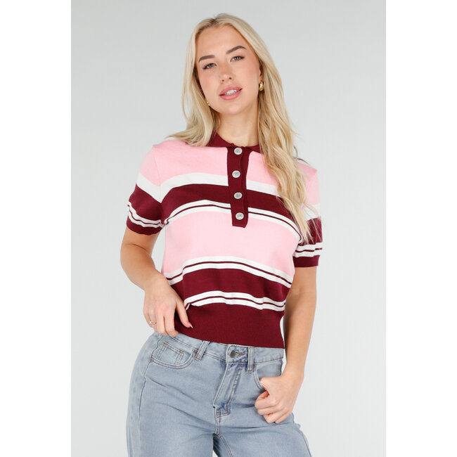 Pink and Bordeaux Red Striped Short Sleeve Polo Top