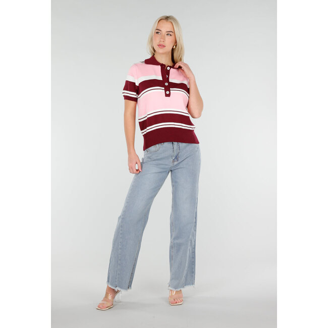 Pink and Bordeaux Red Striped Short Sleeve Polo Top