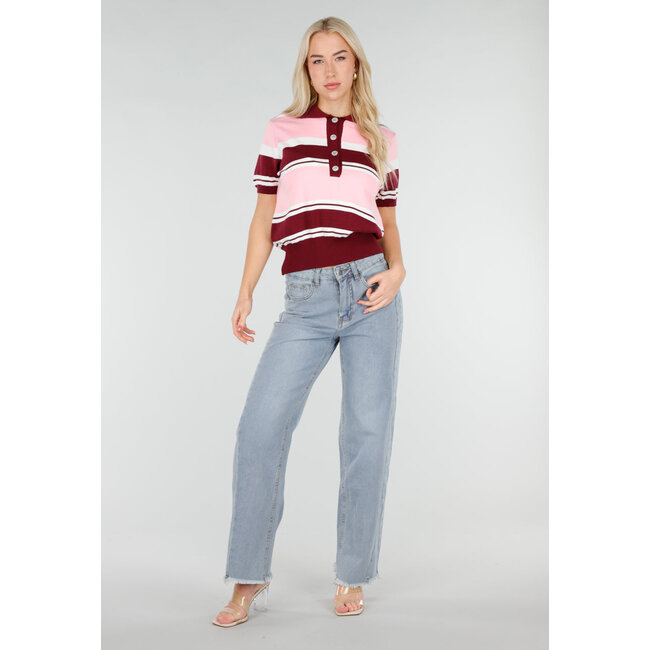 Pink and Bordeaux Red Striped Short Sleeve Polo Top