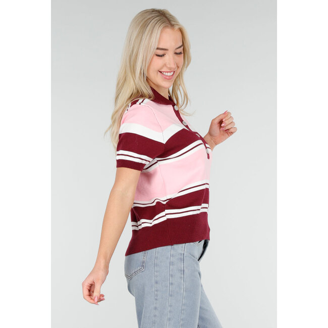 Pink and Bordeaux Red Striped Short Sleeve Polo Top