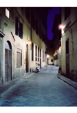 CineStill CineStill 800 Tungsten (800T) Xpro 120