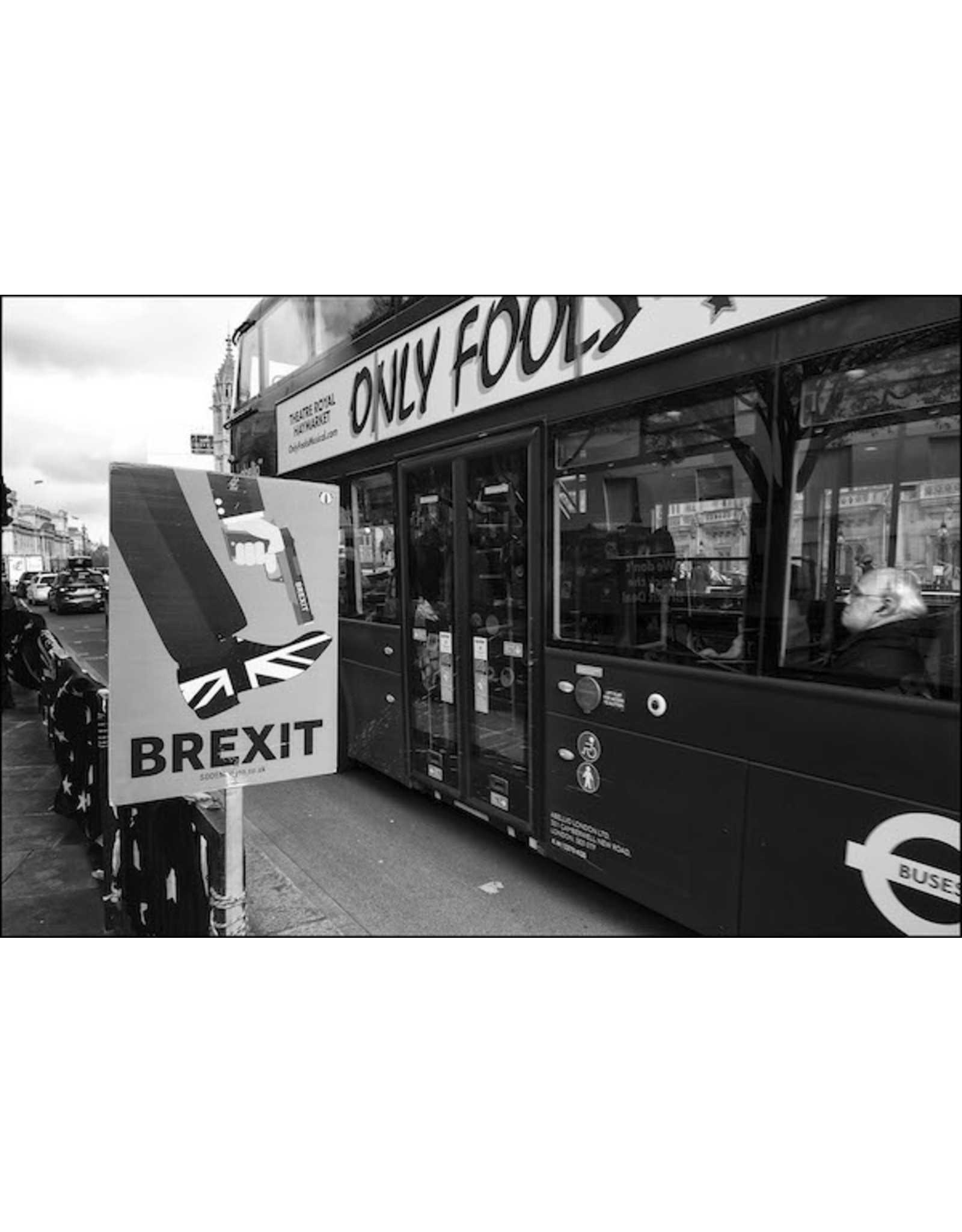 Ian Berry Brexit Placard, London. Ian Berry (31)