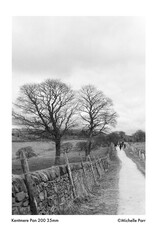 Kentmere Kentmere Pan 200 (135/36)