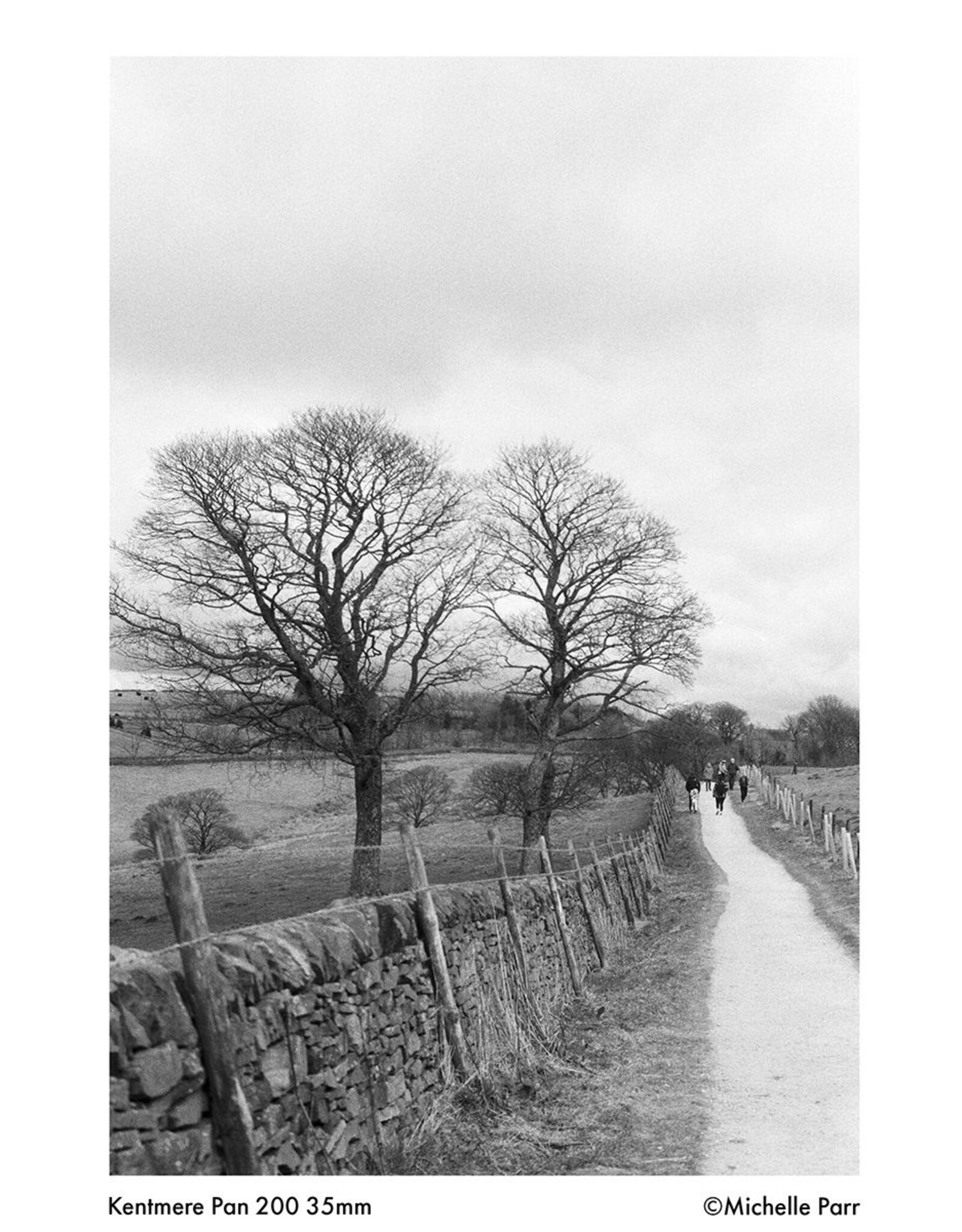 Kentmere Kentmere Pan 200 (135/36)