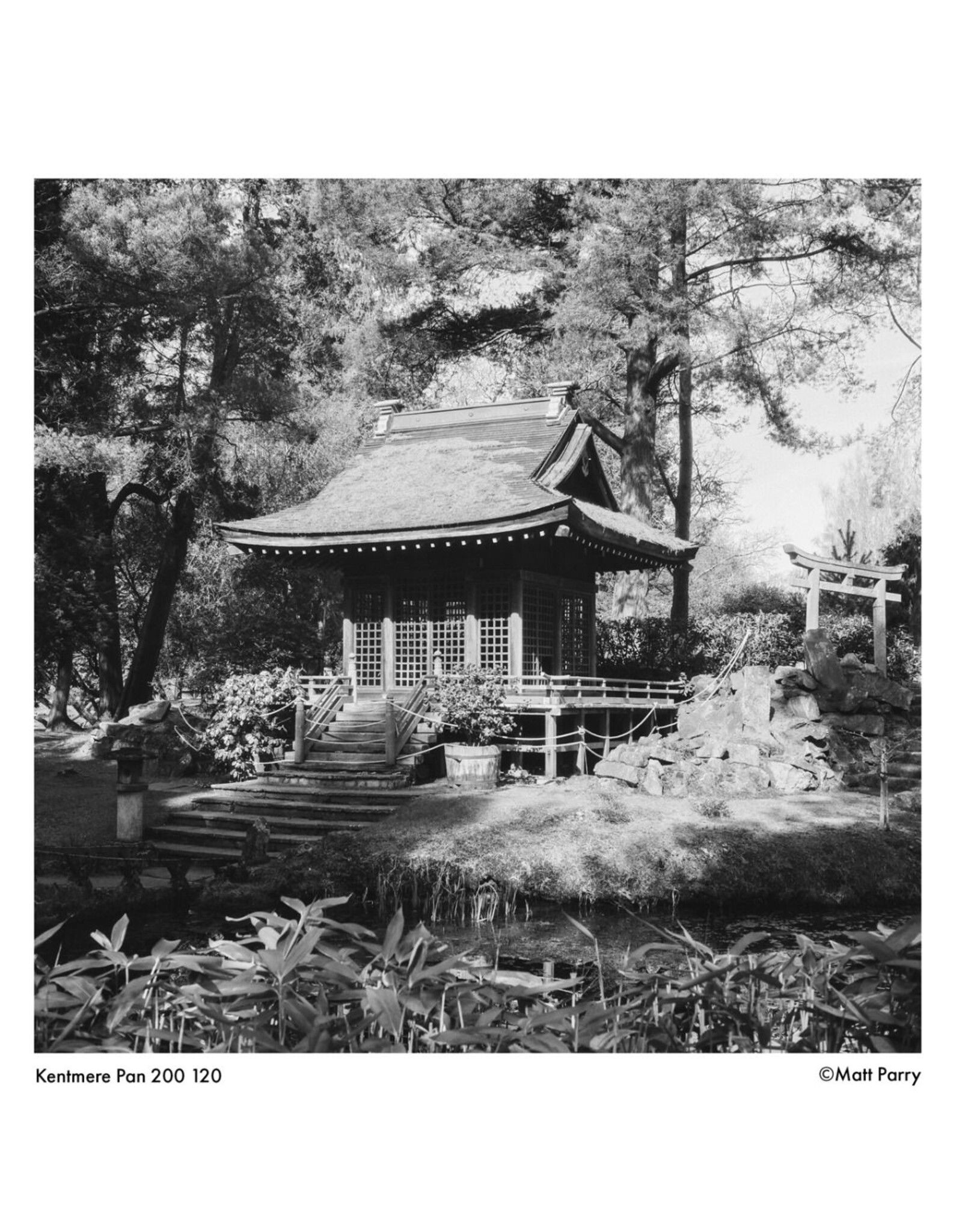 Kentmere Kentmere Pan 200 (120)