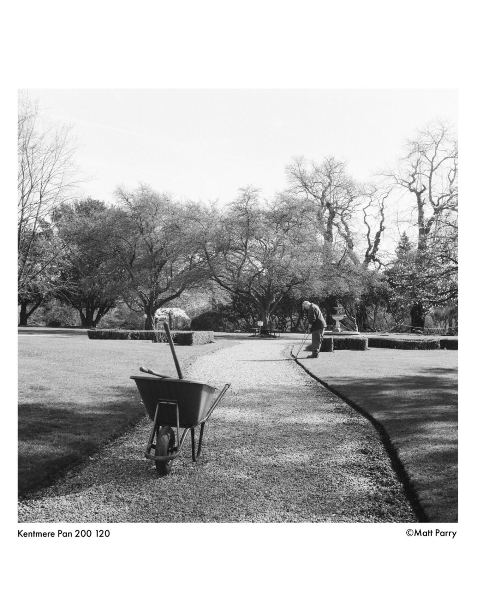 Kentmere Kentmere Pan 200 (120)