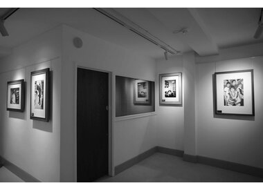 Current Exhibitions