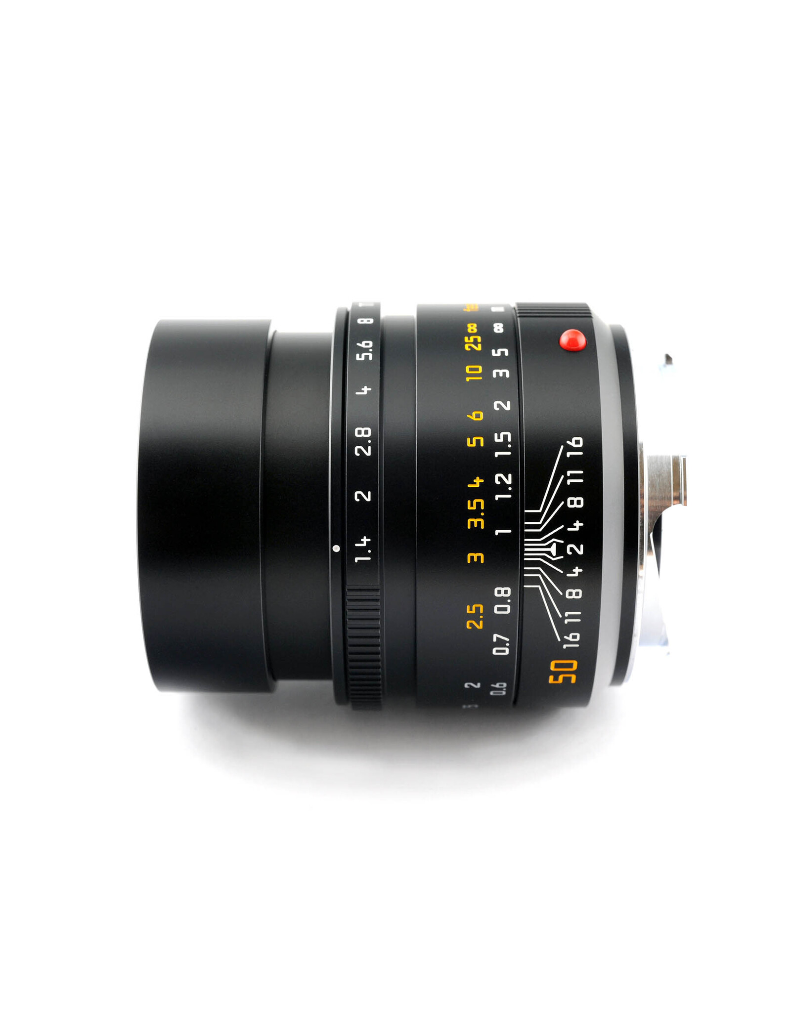 Leica Leica 50mm f1.4 Summilux-M ASPH  (11728) Close Focus    A6022801