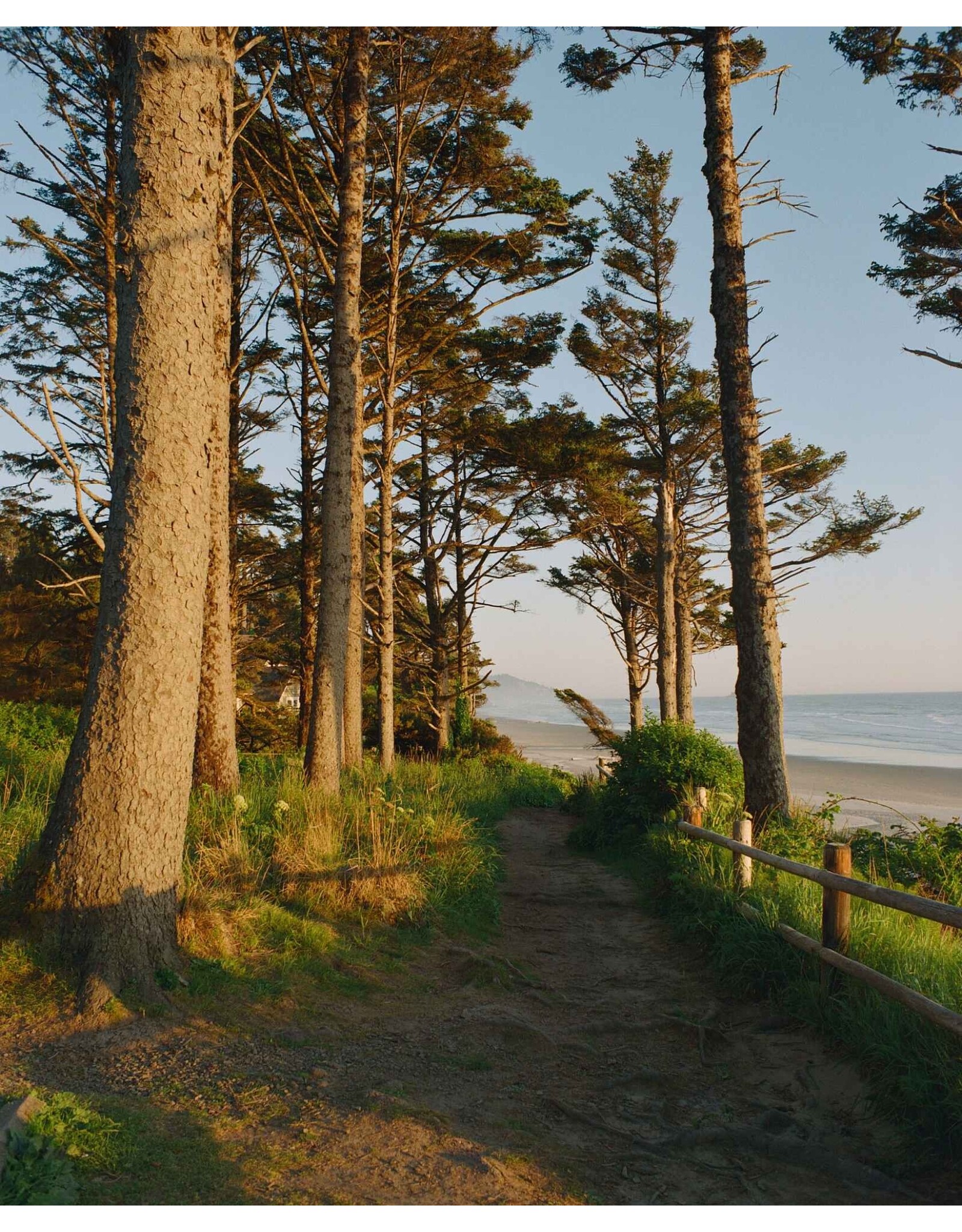 Kodak Kodak Ektacolor Pro 800 (120 Roll Film)