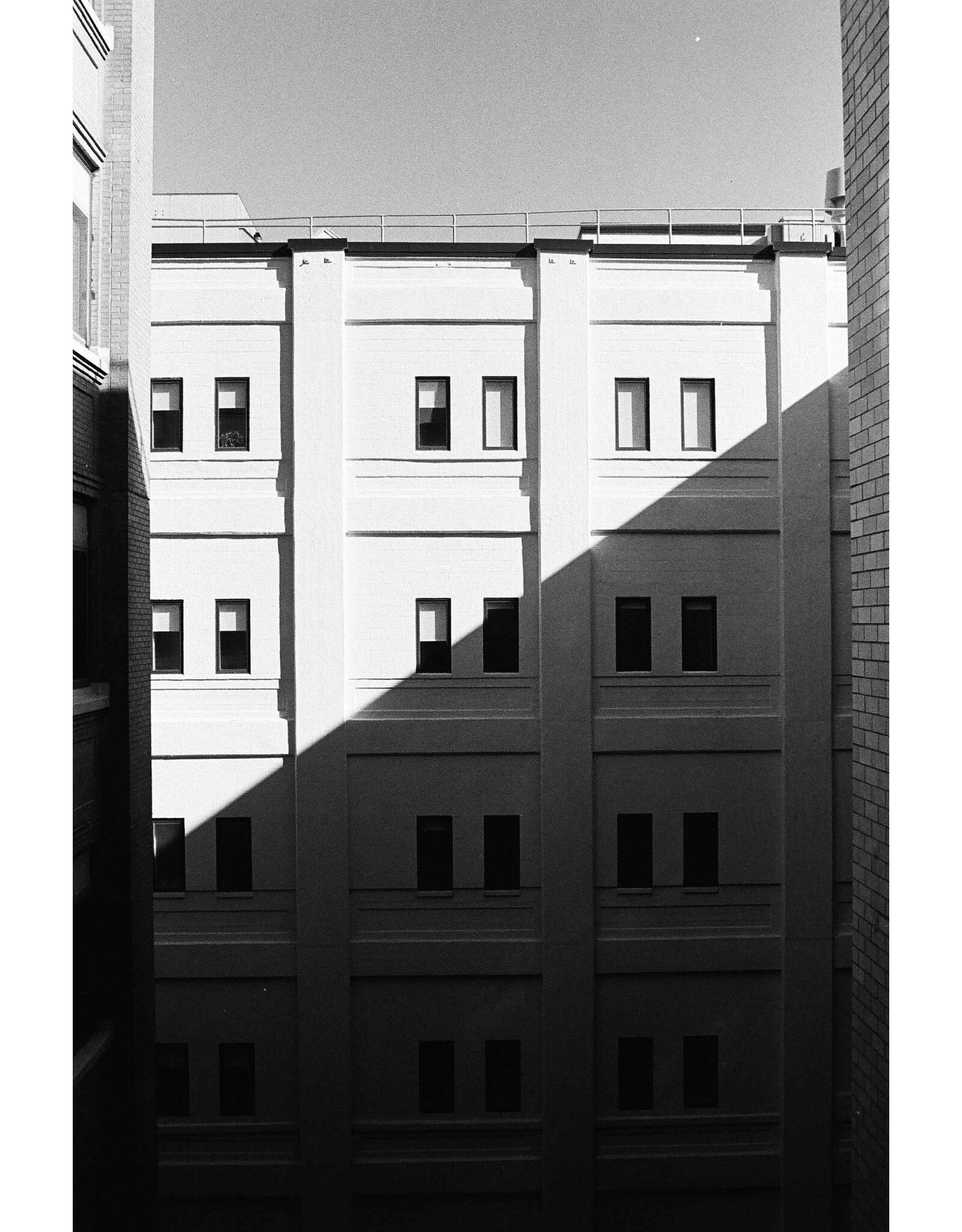 Kodak Kodak Eastman Professional Tri-X 400 B&W (120 Roll Film)